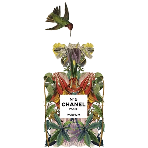 постер chanel, духи цветочные, chanel perfume bottle, шанель большой флакон, chanel no.5 parfum bottle