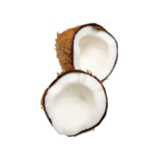 noce di cocco, noce di cocco, noce di cocco, olio di cocco, coconut con uno sfondo bianco
