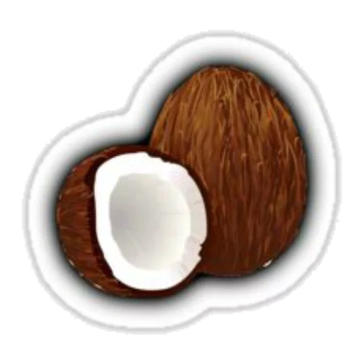 noce di cocco, noce di cocco, noce di cocco, coconut con uno sfondo bianco, carbone aktiaroma-k cocco 500 gr