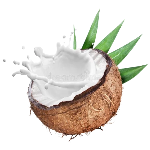 noix de coco, lait de coco, spray coscock, cocotier, lait de coco