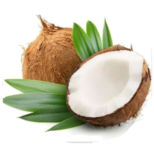 coconut, aceite de coco, hojas de coco, hojas de coco, coco
