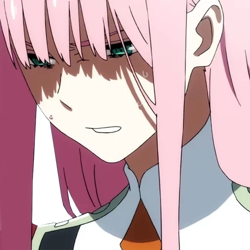 zero two, 002 animation, sweetheart is in franks