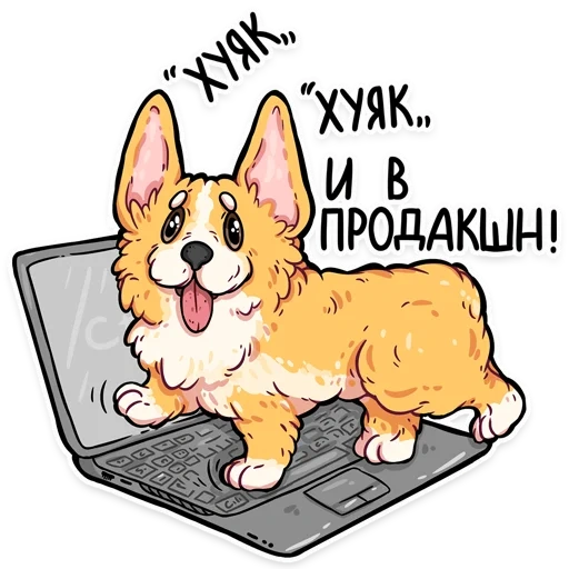 corgi, corgi codes