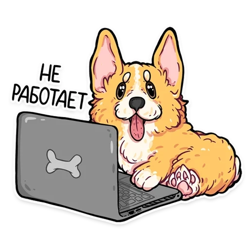 corgi, encodeur corgi