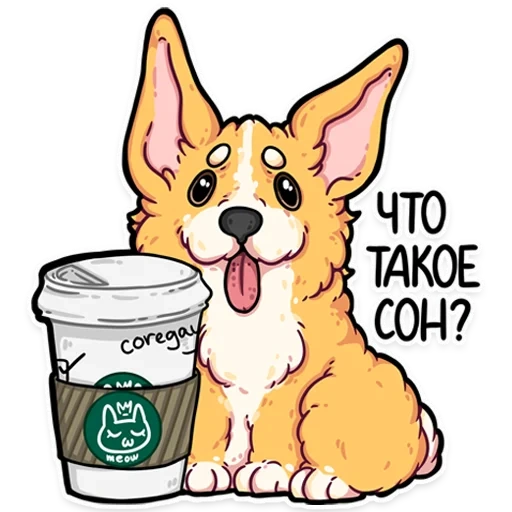 corgi, watsap corgi, corgi codes