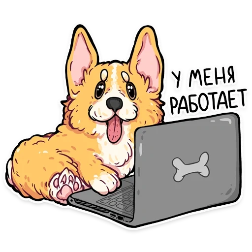 corgi, encodeur corgi