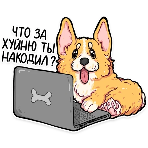 corgi, encodeur corgi