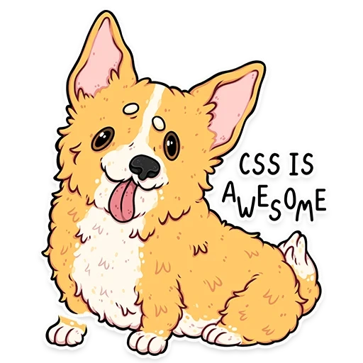 corgi, velsh corgi, codici corgi, cucciolo velsh corgi, velsh korgi pembrock