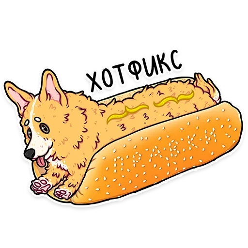 corgi, hot dog memem, velsh corgi, codici corgi, hot dog di cane