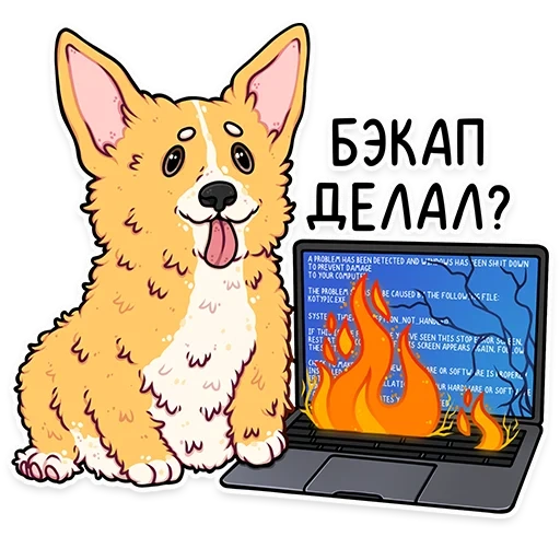 corgi, griffes de feu, encodeur corgi