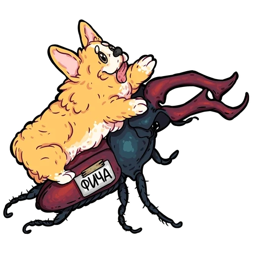 corgi, corgi corgi, codes corgi