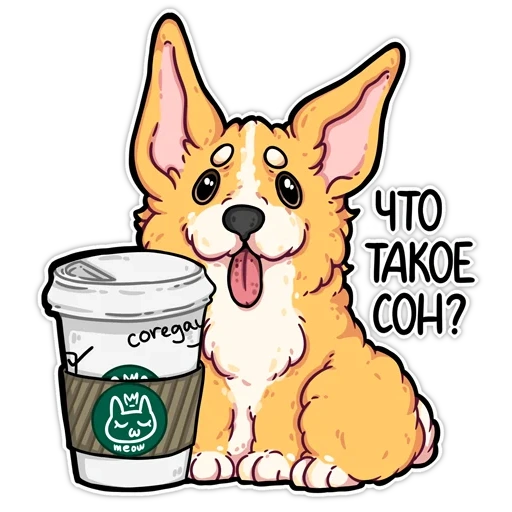 corgi, codici corgi, watsap corgi