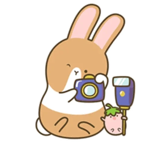 rabbit, rabbit 2d, rabbit coffee srisovka, ultimate machiko rabbit