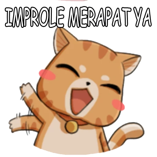 gato, gatos, gatos, gatos, shiba inu