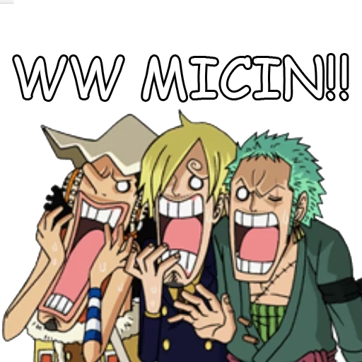 une pièce, équipage du chapeau de paille, personnages d'anime, anime one piece, équipe de mugivara jimbey