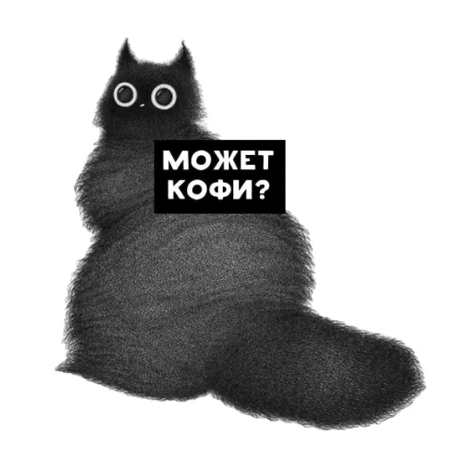 gatto, kofi cat, no gatto, kofi kotik, kofi kofi kofik kotik