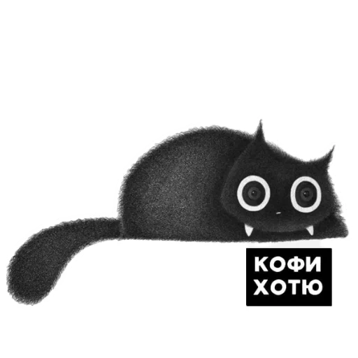 gato, kofi, cat kofi, gato negro, lindo sello