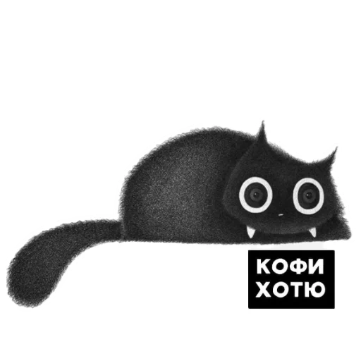 кот, кофи, кофи котик, черный кот, милые котики