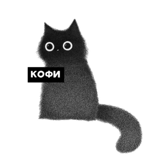 котэ, black cat, кофи котик, чёрная кошка, каролина крюгер