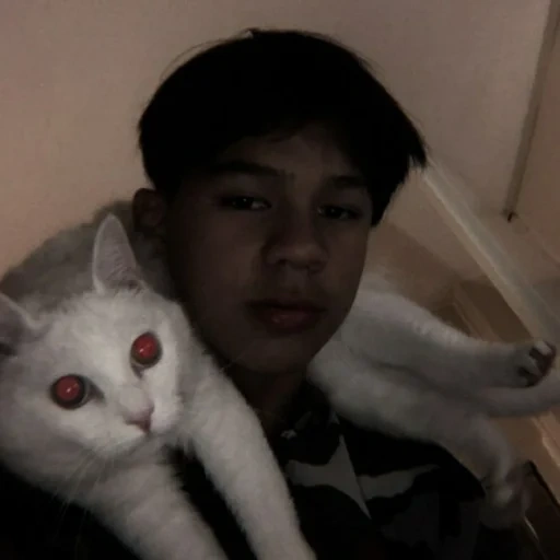 cat, kpop, asian, human, lovely boys