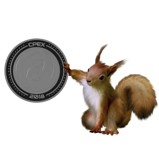 écureuil, écureuil clipart, écureuil sans fond, l'écureuil est un fond transparent, squirrel clipart contexte transparent