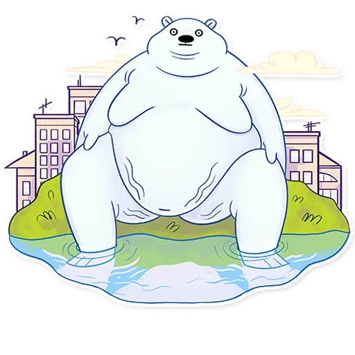 urso branco, urso polar, urso polar
