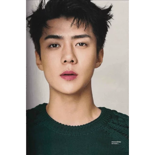 sehun, oh sehun, sehun exo, sehun exo, pak chanyeol