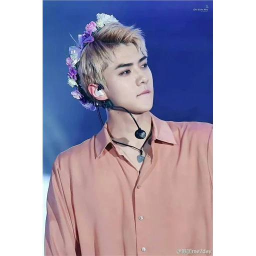 sehun eho, exo sehun, sehun exo, oh sehun pink, ghirlanda exo kai