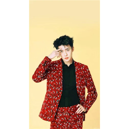 exo sehun, sehun exo, pak chanyeol, sehun 2017, veste rouge sehun