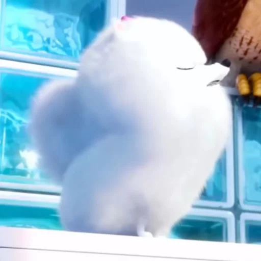 das geheime leben der haustiere, holen sie sich die schlüssel die geheimen leben haustiere, highet secret life von haustieren, highet secret life of pets 2