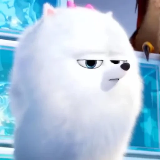 a vida secreta dos animais de estimação, vida secreta dos animais 2, vida secreta de animais de estimação gijet, highet secret life of pets 2, max jiji vida secreta de animais de estimação