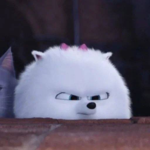 cat, the secret life of pets, secret life of pets gijet, secret life of pets gijet, highet secret life of pets