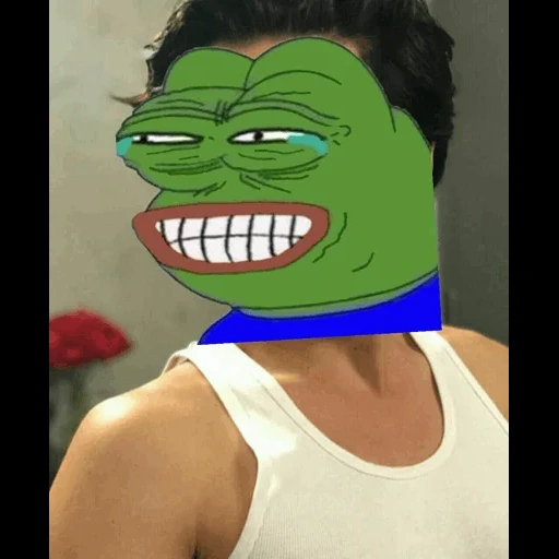 pepe, ragazzo, meme pepe, frog pepe, pepe arrabbiato