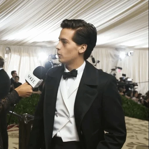 young man, benedict cumberbatch, benedict cumberbatch sherlock, met gala benedict cumberbatch, benedict cumberbatch prince balu trust 2009