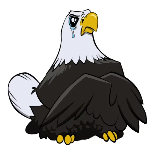 eagle, bald eagle, eagle vector, белоголовый орлан, белоголовый орел вектор
