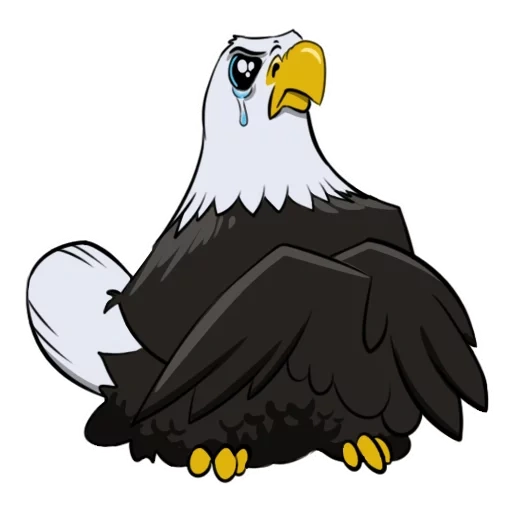 eagle, bald eagle, eagle vector, elang botak, vektor elang botak