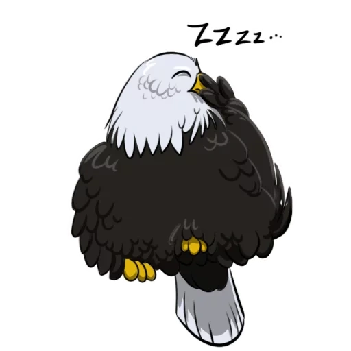 eagle, bald eagle, bald-headed eagle, bald-headed eagle, bald eagle vector