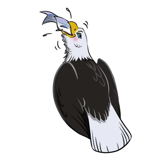 eagle, bald eagle, белоголовый орел, белоголовый орлан, белоголовый орлан рисунок
