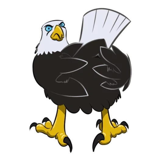 the eagle, adler cartoon modell, cartoon eagle, der weißkopfseeadler, der weißkopfseeadler