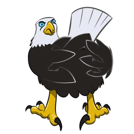 eagle, eagle cartoon, cartoon eagle, bald-headed eagle, bald-headed eagle