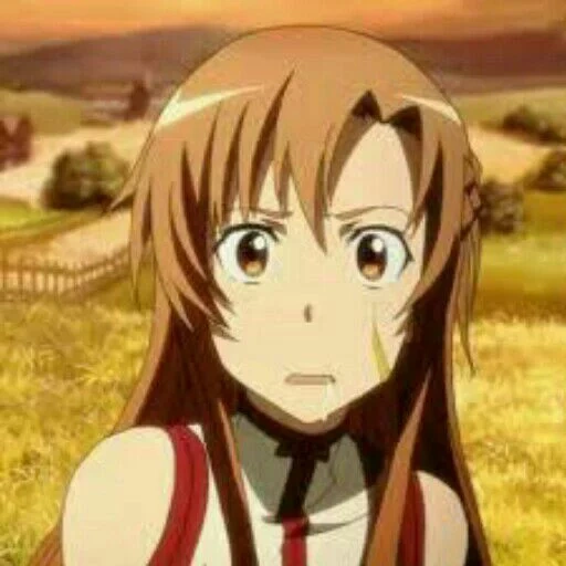 asuna, asuna sao, asuna yuki, asuna akame, meister des schwertes online