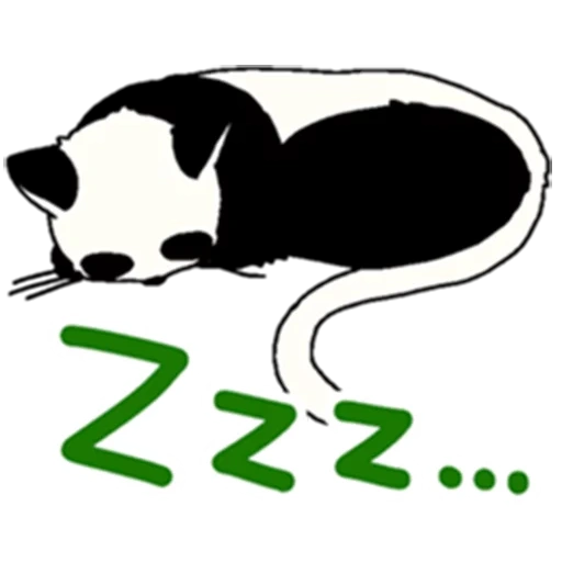 gato, gato, panda, panda clipart, vetor panda