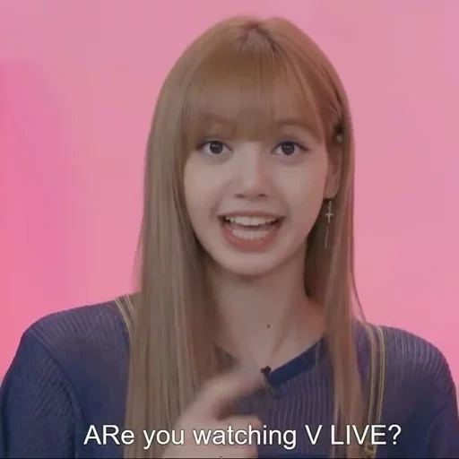 black pink, fox manoban, fox black pink, lisa blackpink, lalisa manoban memes