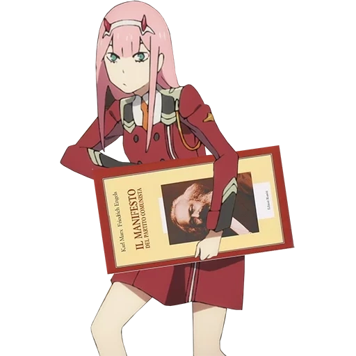 franks, zero two, sweetheart is in franks, cute in franx's character, anime darling in the franxx