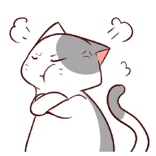 seal, anime kucing, anjing laut kecil, anime kucing lucu, anime kucing berwarna-warni
