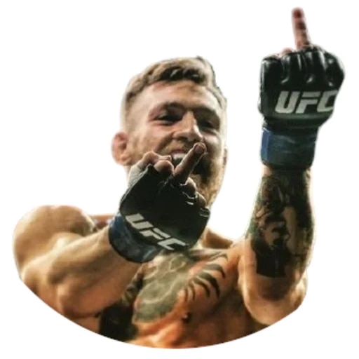 instalasi, ivan mcgregor, conor mcgregor, conor mcgregor, conor mcgregor fak