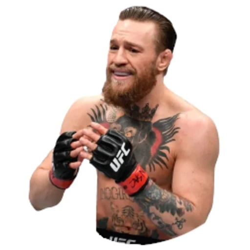 ivan mcgregor, conor mcgregor, conor mcgregor 229, conor mcgregor trestock, dustin bojril conor mcgregor