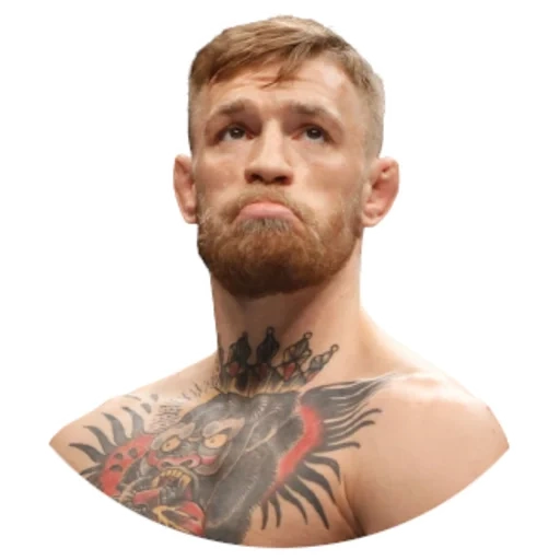 mma, yuen mcgregor, habib mcgregor, conor mcgregor, the ears of conor mcgregor