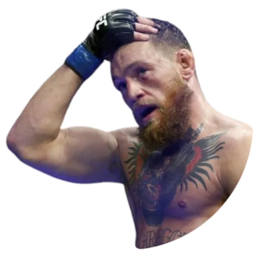 mcgregor, yuen mcgregor, conor mcgregor, conor mcgregor 229, dustin porier conor mcgregor