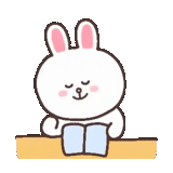 cony, bunny, rabbit snopi, coniglio con uno sfondo bianco, conigli carini